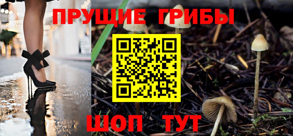 Псилоцибиновые грибы мухоморы  Вход с VPN  Ивантеевка 